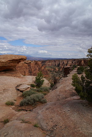 A landscape of a park in Moab, Utah.