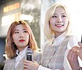 Bolbbalgan4, (2017, 2019)