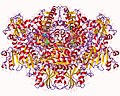 Vignette pour Pyruvate synthase