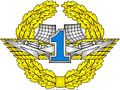 1st grade Specialist Badge