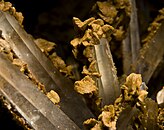 Ankerite on quartz from Peru