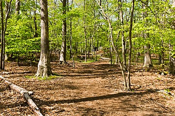 One of the approaches to the C trail, from the western parking lot