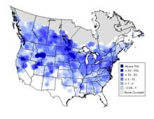 Summer distribution and abundance of Canada goose using data from the North American Breeding Bird Surveys 1994-2003 CanadaGooseSummer19942003.png