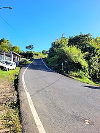 Puerto Rico Highway 800 in Palmarito