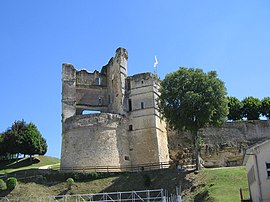 Ruins of the chateau