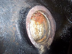 A core plug that has corroded from improper engine coolant maintenance, causing it to leak Corroded-Core-Plug.JPG