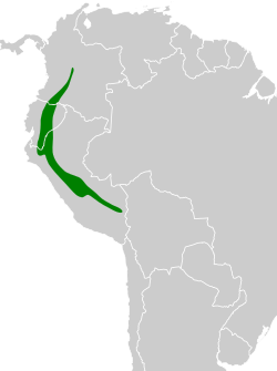 Distribución geográfica del saltarín verde.