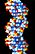 DNA molecule closeup.jpg