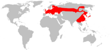 Planisphère de couleur grise représentant en rouge la présence du Rat des moissons dans le monde (Europe, Asie du Nord et de l'Est).