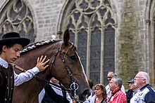 Défilé d'un homme avec un cheval dont on ne voit que la tête.