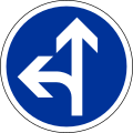 Directions obligatoires à la prochaine intersection : tout droit ou à gauche