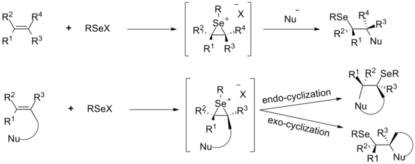 Функционализация олефинов с использованием электрофильных селенорганических соединений
