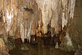 Furongo urvo stalaktitai