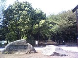 光が丘公園（2009年4月）