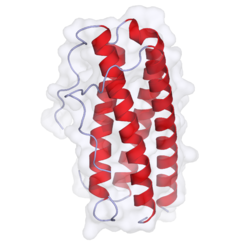 Human IL-11 crystal structure.png