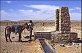 Izvlačenje vode iz bunara - Između Ghardaie i El Golee 25. travnja 1985. Voda je slankasta i prljavo žuta.