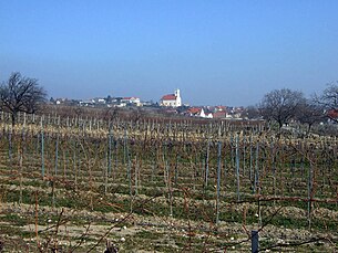 Jois mit den charakteristischen Weingärten