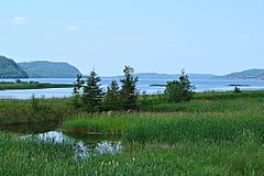 Nipigon ko'li - Nipigon koʻlining sharqiy qirgʻoqdan koʻinishi