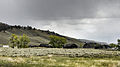 Lamar Buffalo Ranch in de Lamar Valley in Yellowstone National Park