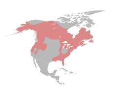 Mapa występowania