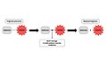 Figure 2: Mécanisme général de libération de composés odorants en utilisant un précurseur de parfum.