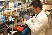 A medical laboratory scientist at the National Institutes of Health preparing DNA samples Medical Laboratory Scientist US NIH.jpg