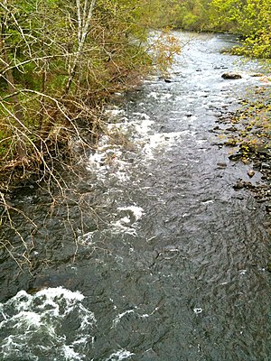 Naugatuck River from Whitestone Cliffs Trail road walk over Frost Bridge - CT Route 262.jpg