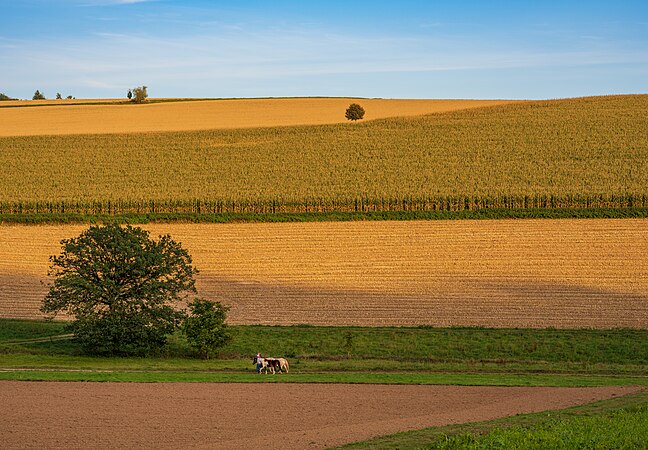 圖為米特爾貝格山西麓的田野和草場，攝於德國諾因基興的內卡卡岑巴赫附近。拍攝時間是十月日落不久後的黃昏。
