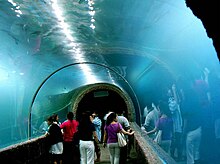 Giant tank at Nong Khai Aquarium.