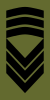 Норвегия-Армия-OR-8.svg