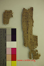 Miniatura para Papiro 22