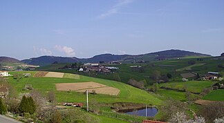 Typische Landschaft im Monts du Lyonnais, aufgenommen bei Saint-Martin-en-Haut