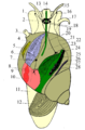 Pisipilt versioonist seisuga 26. veebruar 2007, kell 23:07