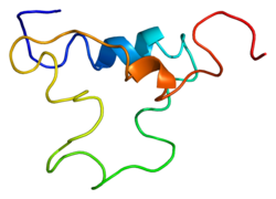 PDB прорисовано на основе 1bqt.