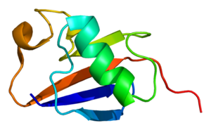 Dundee University scientists have made a major breakthrough that could stop devastating Parkinson's disease ''in its tracks''.