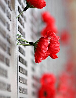 Remembrance Poppy, WW2 section - Australian War Memorial, Canberra