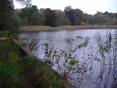 Selbrigg pond, part of the watercourse of the Glaven