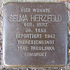 Stolperstein für Selma Herzfeld