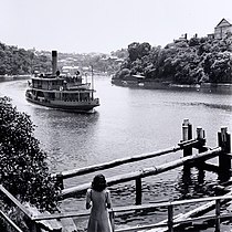 K-class steamer, Kamiri, approaches Old Cremorne Wharf, 1946. Photograph by Max Dupain