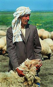 Berger tunisien avec un de ses moutons.