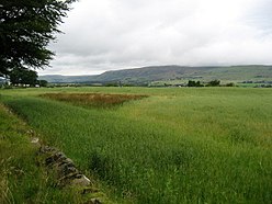 Вид на холмы Кэмпси - geograph.org.uk - 1459454.jpg