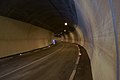 Blick vom unteren Tunnelportal. Die Tür im Hintergrund rechts markiert den Übergang vom Tunnel zur geschlossenen Rohrbrücke.