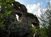 Ruiny zamku (2012)