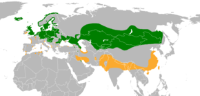 Description de l'image Anser anser distribution map.png.