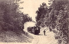 Le BUREAU-St-PALAIS - Côte d'Argent - Passage du tramway dans la forêt