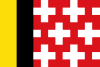 Bandeira de Montagut i Oix