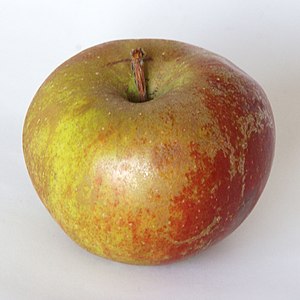 Manzana 'Schone van Boskoop'.