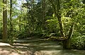 près Ratingen, Naturschutzgebiet (réserve naturelle) Angertal