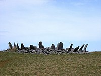 Bryn Cader Faner