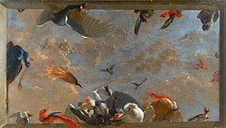 Plafondstuk met vogels, met 'De raaf die beroofd wordt van de veren waarmee hij zich had getooid'. Trompe-l'oeil met onder meer goudvink, edelpapegaai, (grote) paradijsvogels, ijsvogel, geelvleugelara, molukkenkaketoe en muskuseend, 1708